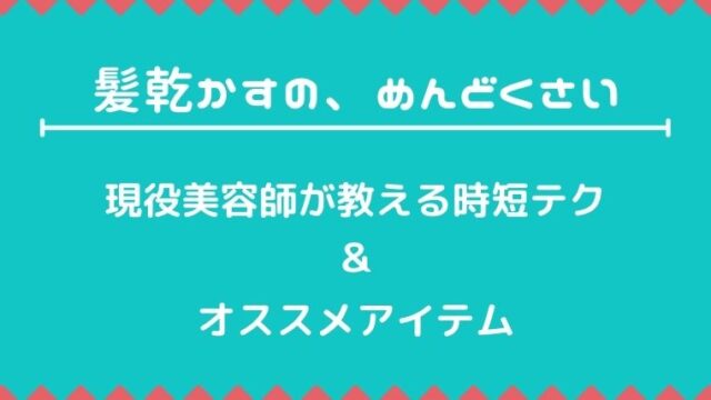 時短テク 髪を早く乾かす方法 ズボラ美容師がコツを教えます ズボラビューティー